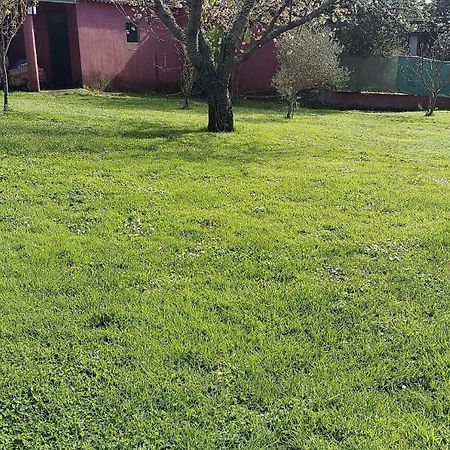 Alojamiento Entero Con Piscina Y Jardin. Ourense Exterior foto